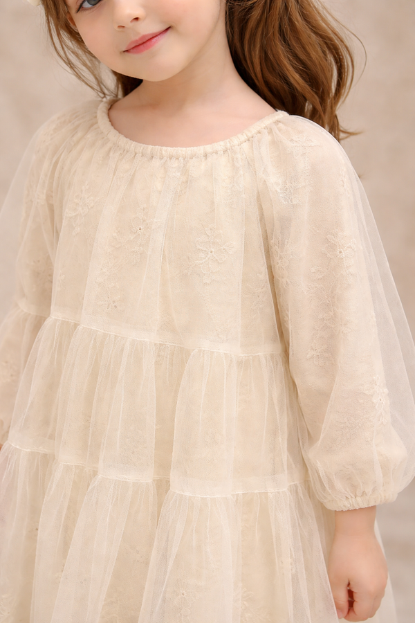 Little Embroidered Frock