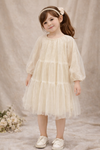 Little Embroidered Frock