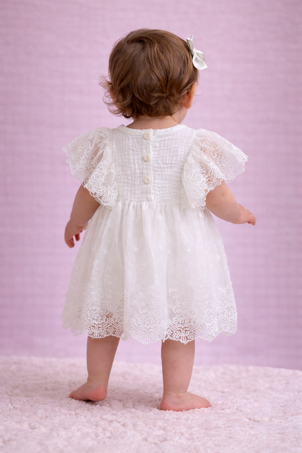 Little Angel Lace Baby Dress